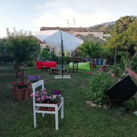 Abravacanza